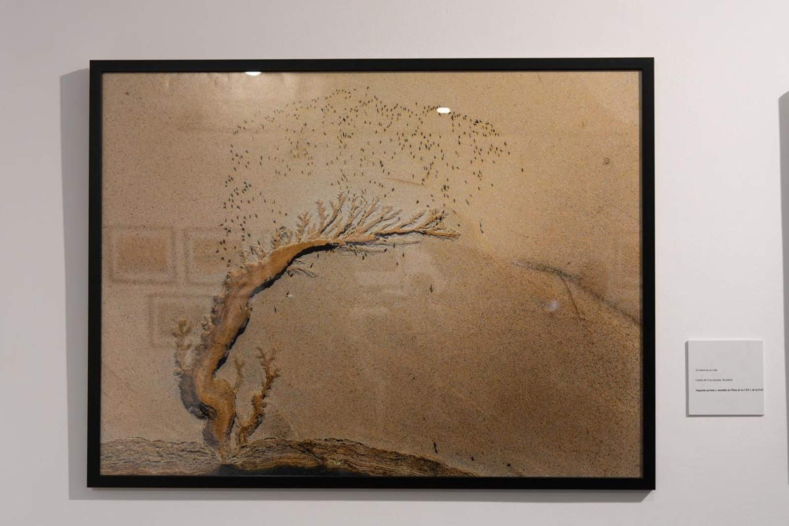 Exposición La Tierra, corazón de la vida, en imágenes