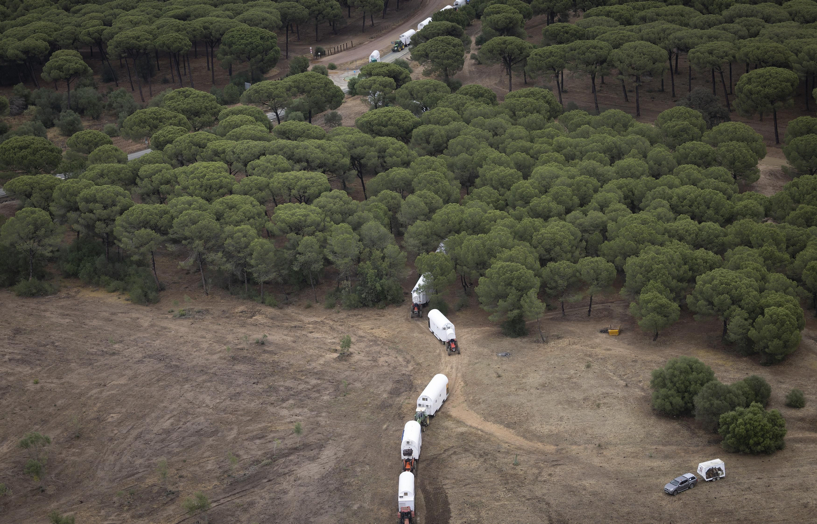 Las impresionantes fotos del camino del Rocío, desde el helicóptero de la Guardia Civil