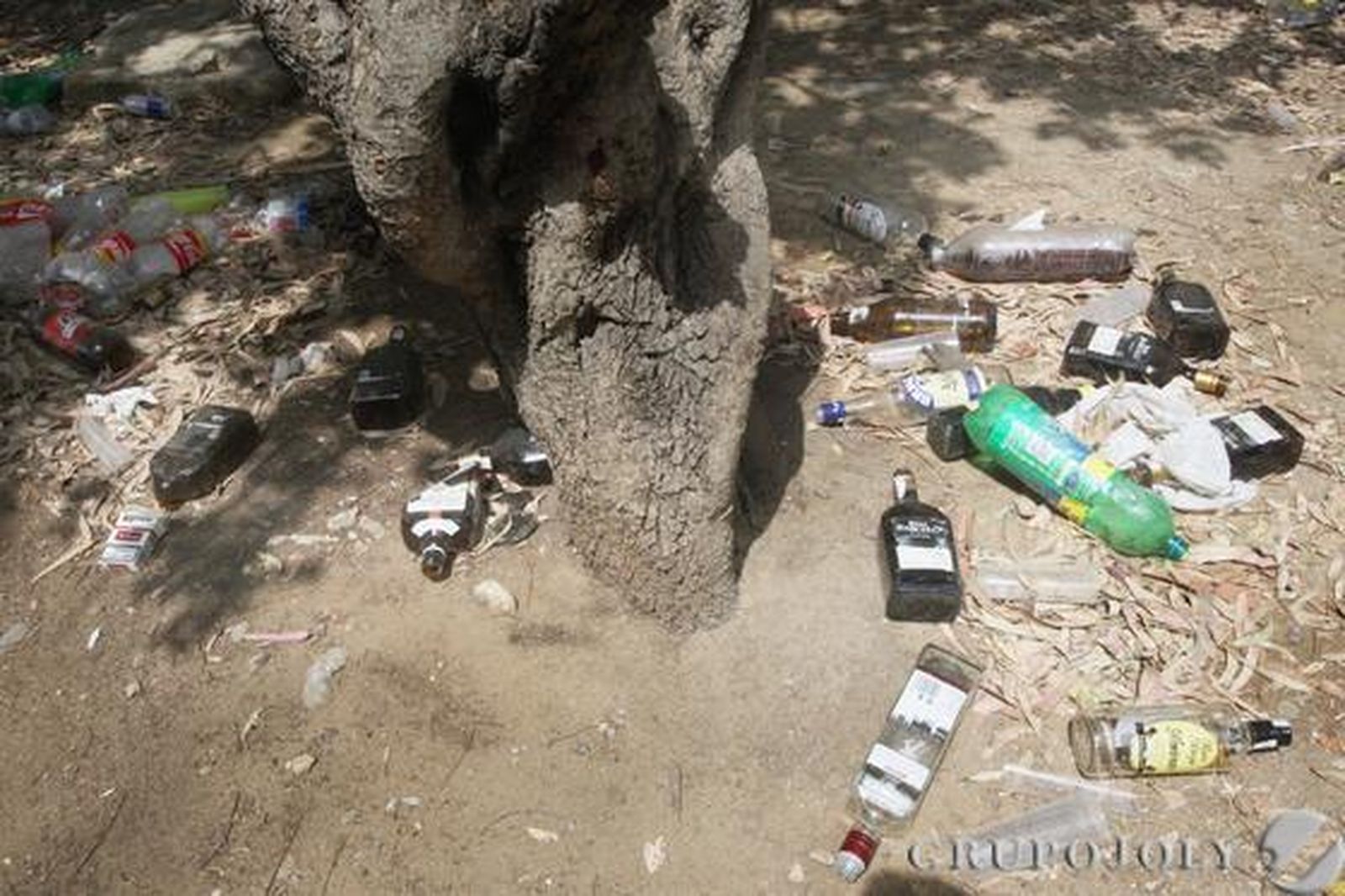 Cristales y plásticos dejados allí, al sol, a los pies de un árbol.

Foto: Paco Guerrero