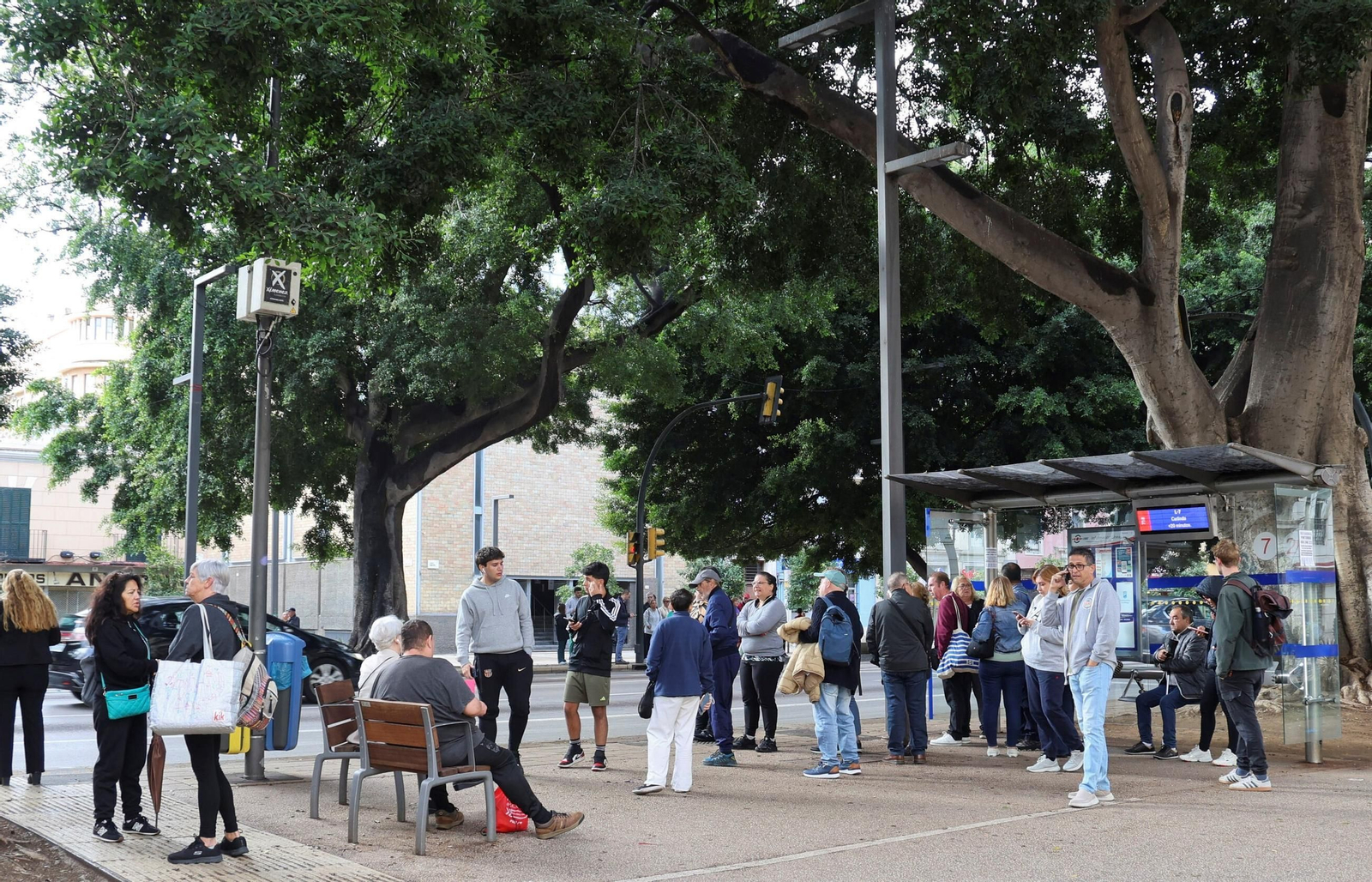 Usuarios esperan a un autobús junto a una marquesina en la Alameda Principal.
