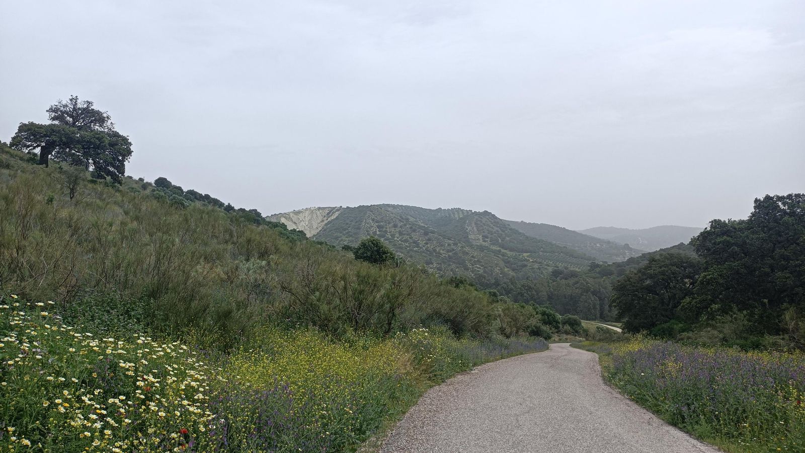 Acabamos saliendo por la derecha del carril ancho que seguimos desde la presa.