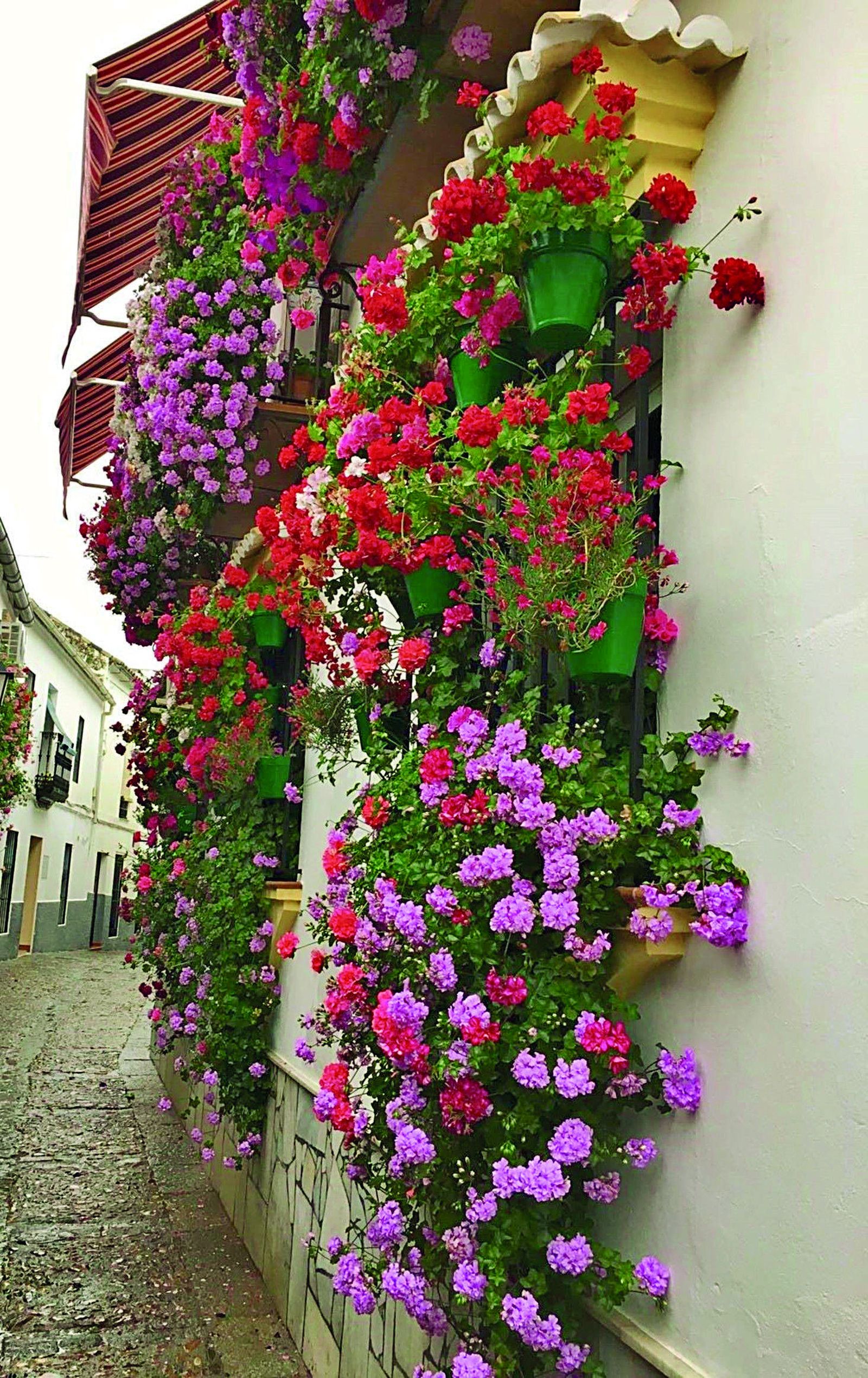 C/ Real, 19. Priego de Córdoba