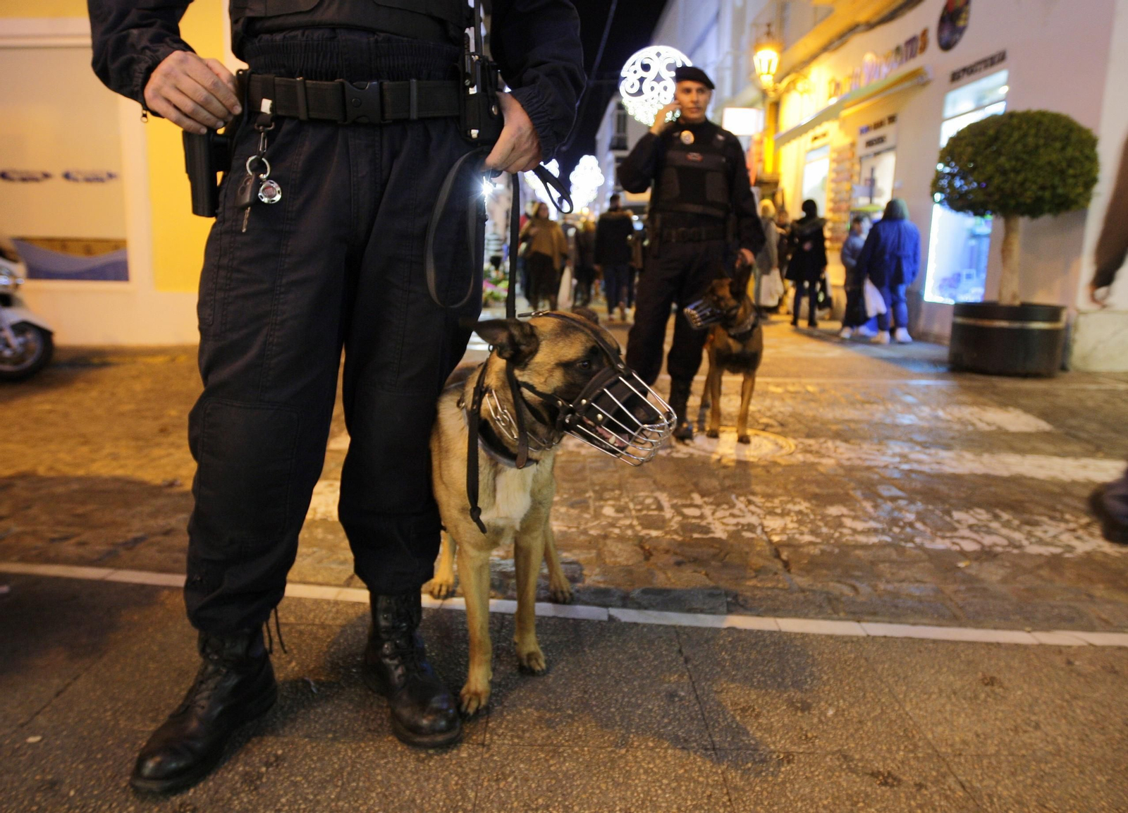 Perros de la unidad canina de la Policía Local patrullan las calles en Navidad, en una imagen de arcihvo.