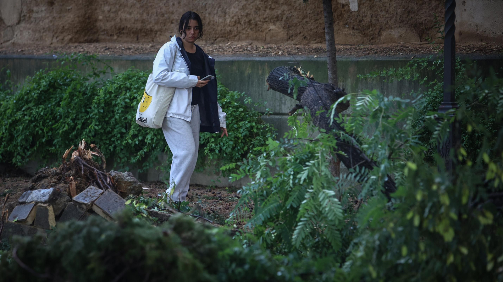 Así está Jerez tras el paso de 'Bernard'