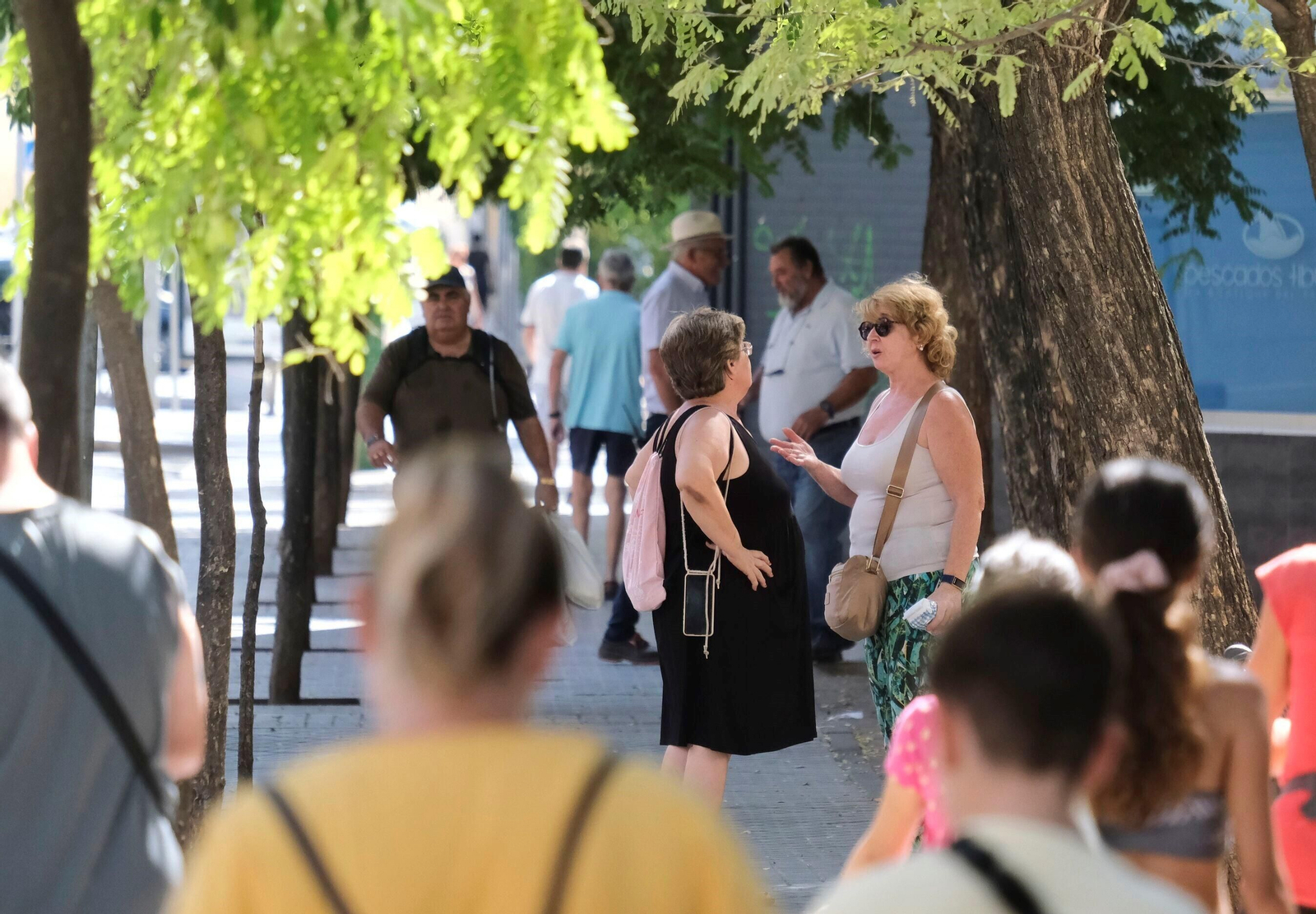 Un día de agosto en el barrio cordobés de Fátima, en imágenes