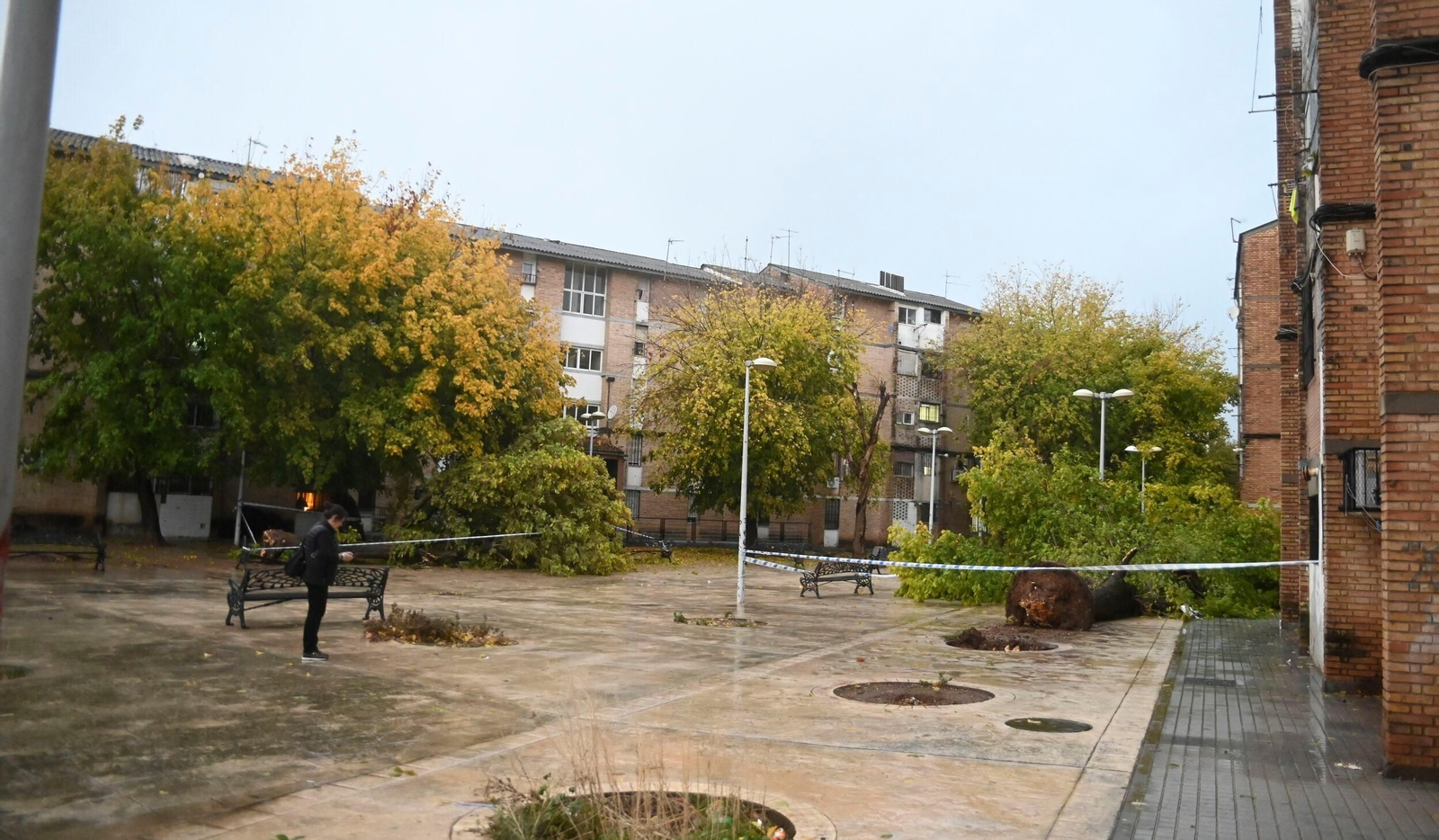 Las imágenes de los daños causados por el fuerte viento en el Sector Sur en Córdoba