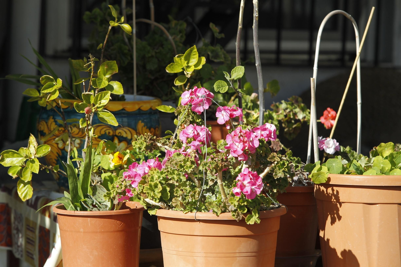 Fiestas Patronales de Escúllar