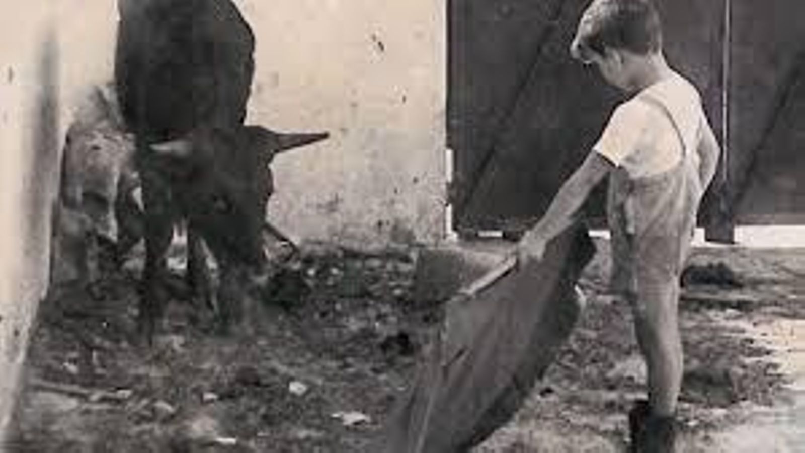 'Paquirrri', de niño, toreando una becerra.