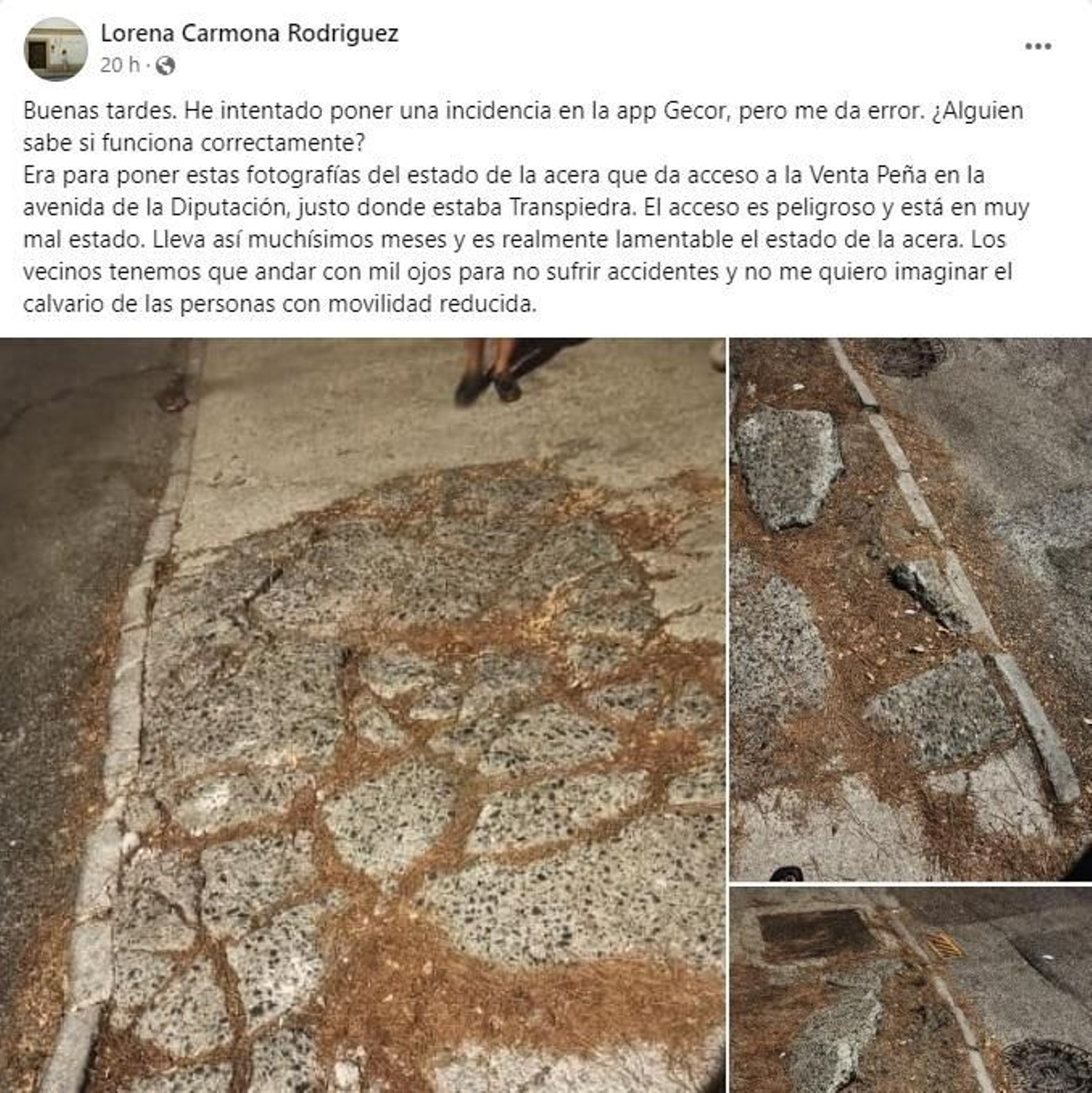 Mensaje de Lorena Carmona a través de Facebook.