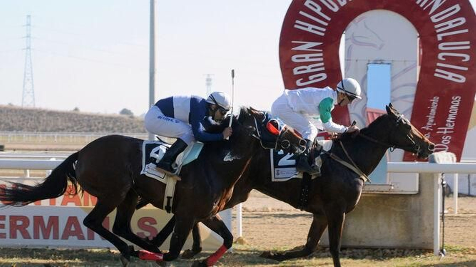 Una carrera en el Gran Hipódromo de Andalucía.