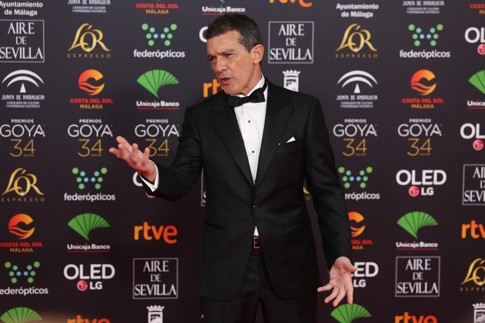 La alfombra roja de los Goya 2020 en Málaga