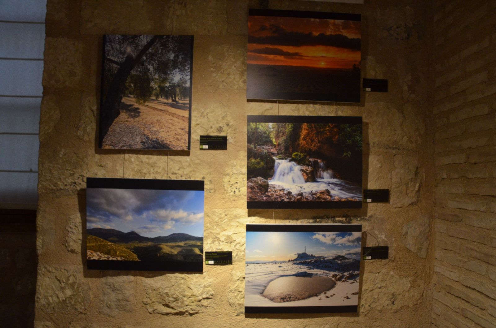 Viajar por Jaén sin moverse de la sala: la exposición ‘Paisajes’ que invita a caminar el territorio, en imágenes