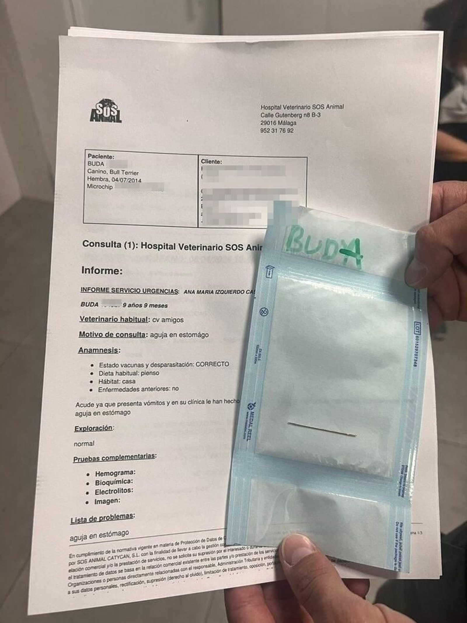 Parte médico de Buda