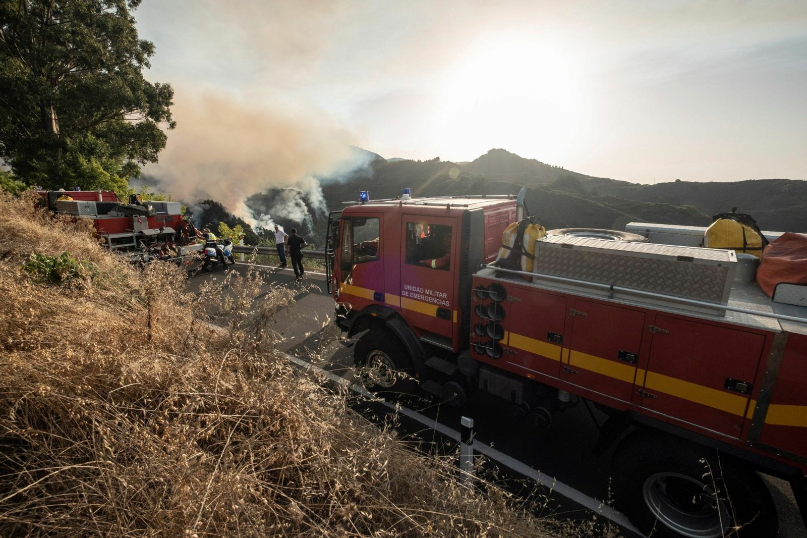 Las imágenes del incendio forestal en Gran Canaria.