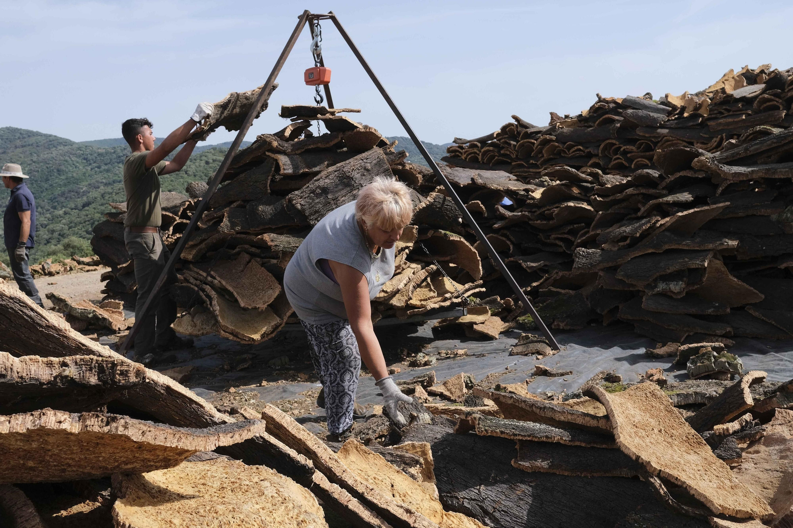La fotos de la saca del corcho