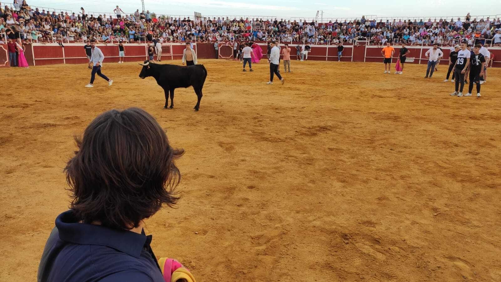 Villa del Río recupera la suelta de vaquillas, en imágenes