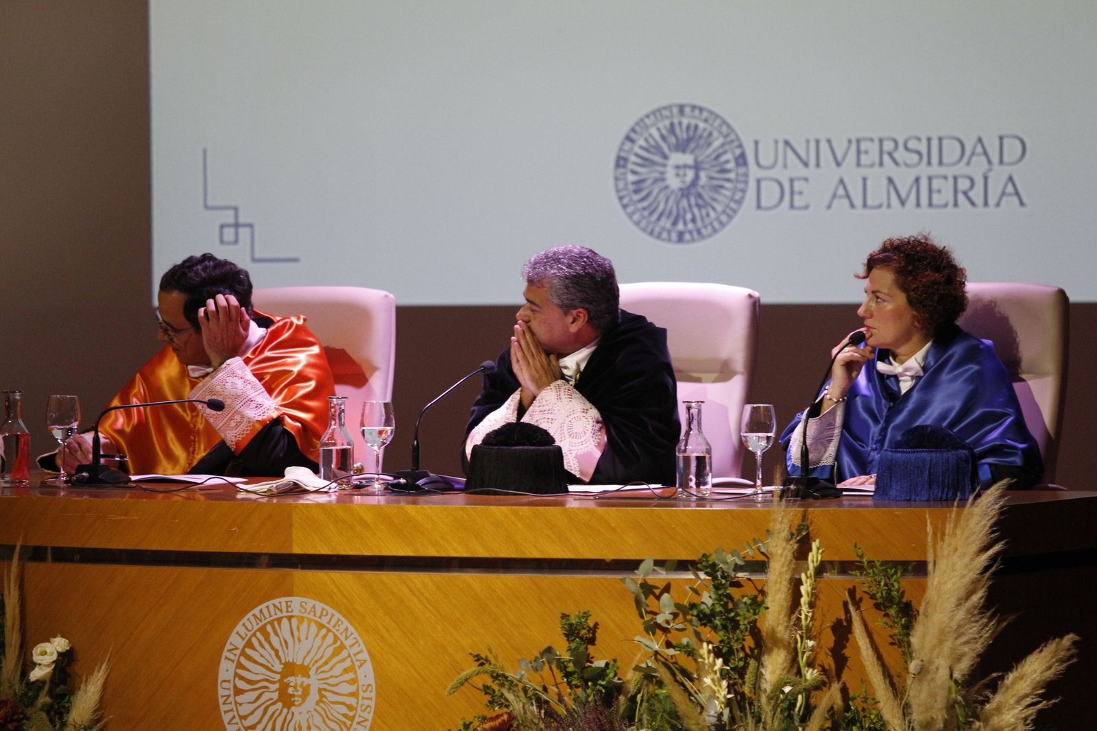 Fotogalería investidura Doctor Honoris Causa Manuel García Velarde. UAL