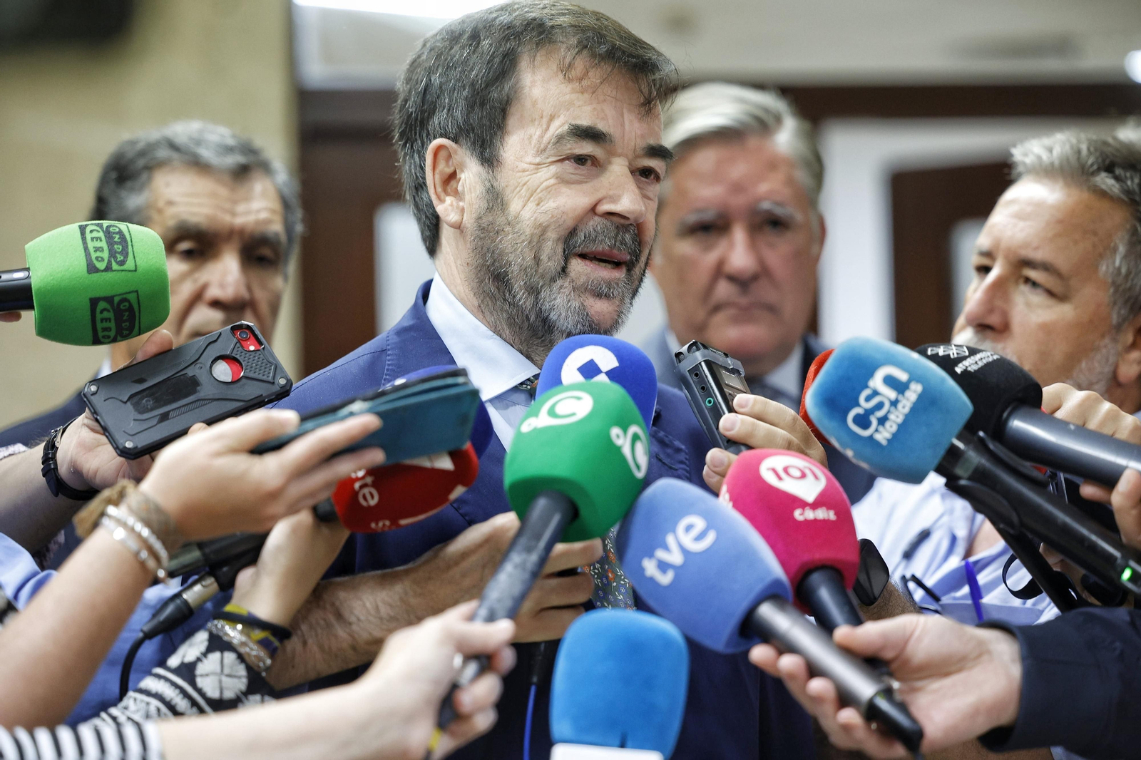 El presidente del Consejo General del Poder Judicial (CGPJ), Vicente Guilarte.