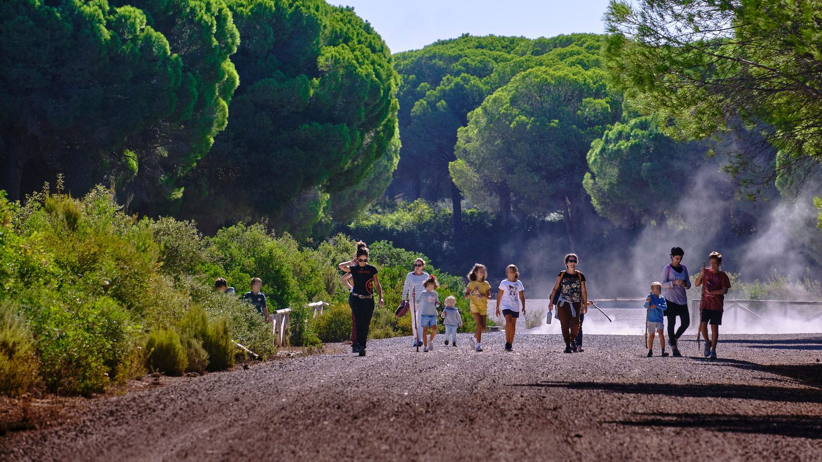 Un grupo de personas por uno de los caminos de la zona recreativa de la Dehesa de la Yeguas en el término municipal de Puerto Real