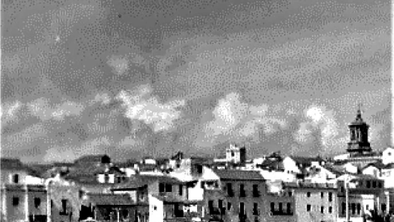 Perros y gatos ensucian la Algeciras liberal.