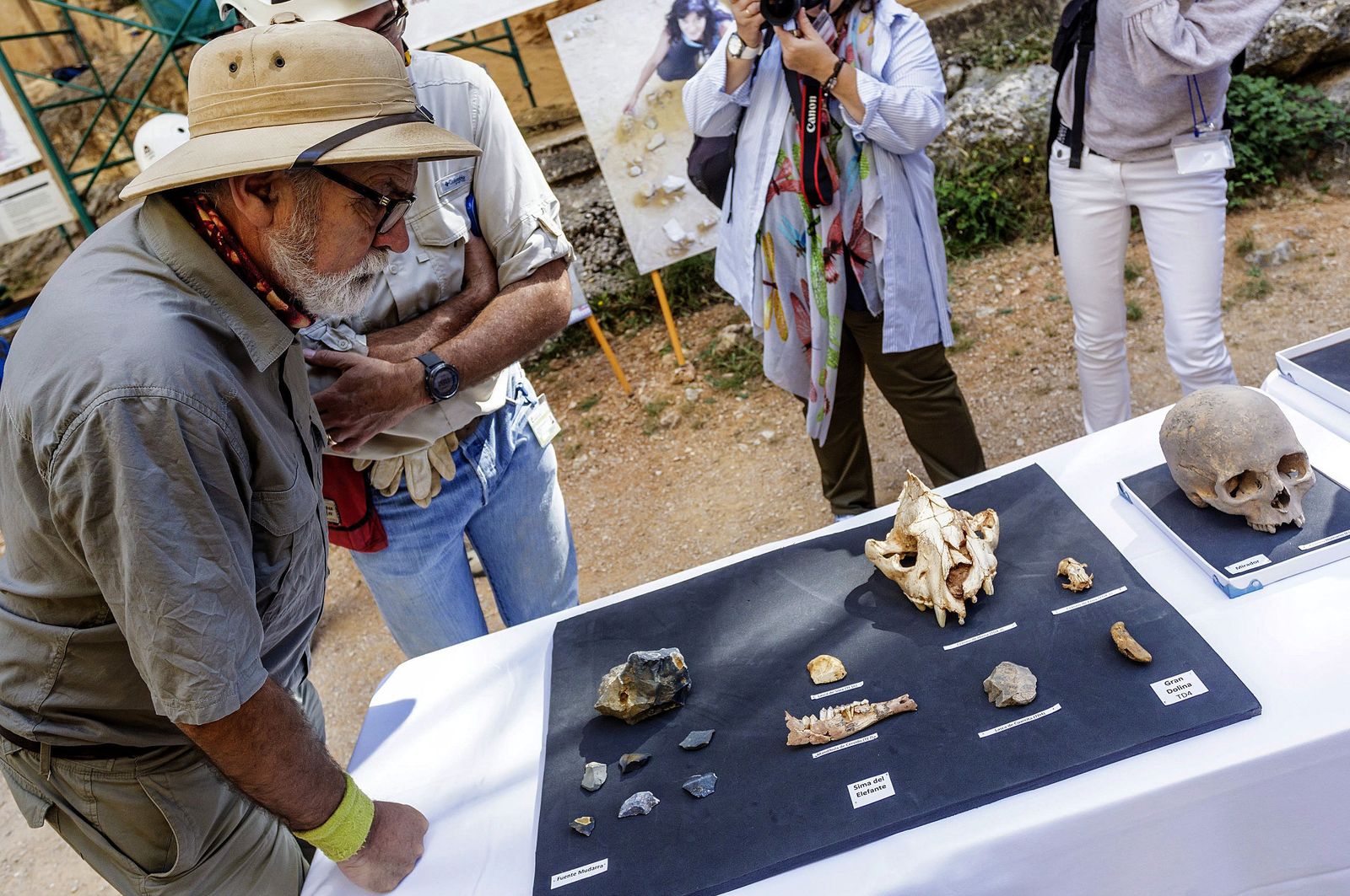 El codirector de Atapuerca , Eudald Carbonell, observa los restos de neandertales hallados el pasado año.