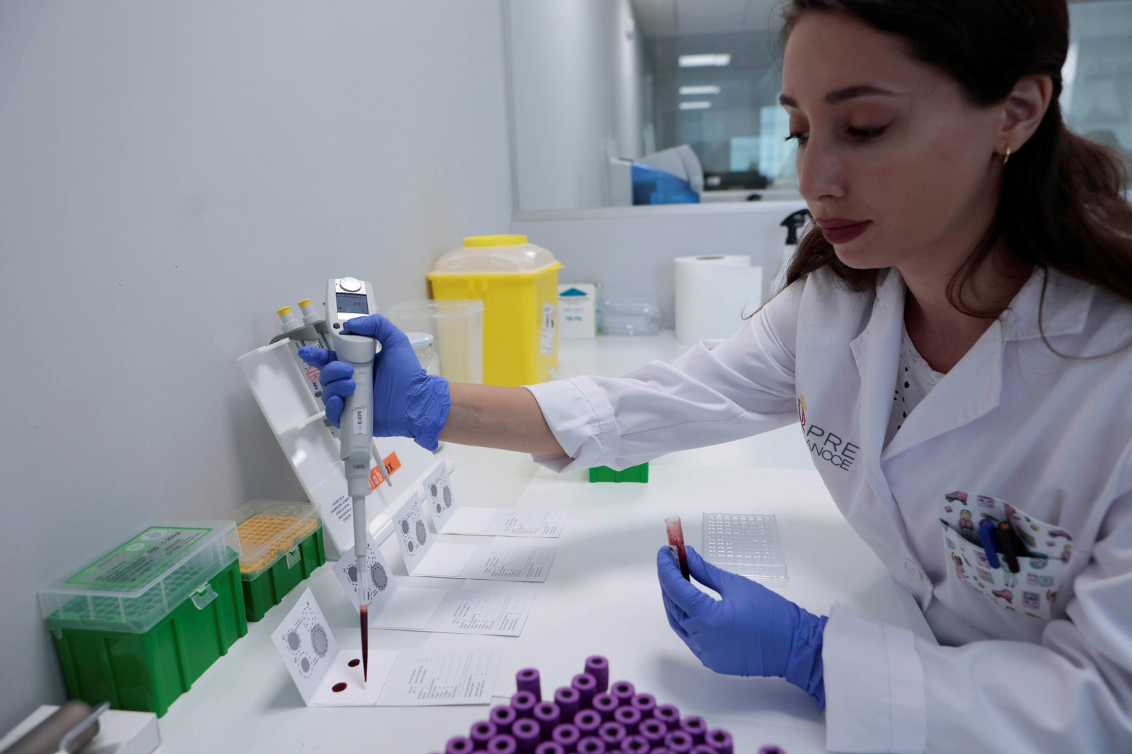 Una investigadora toma muestras de sangre de los ejemplares equinos en los laboratorios de Ancce.