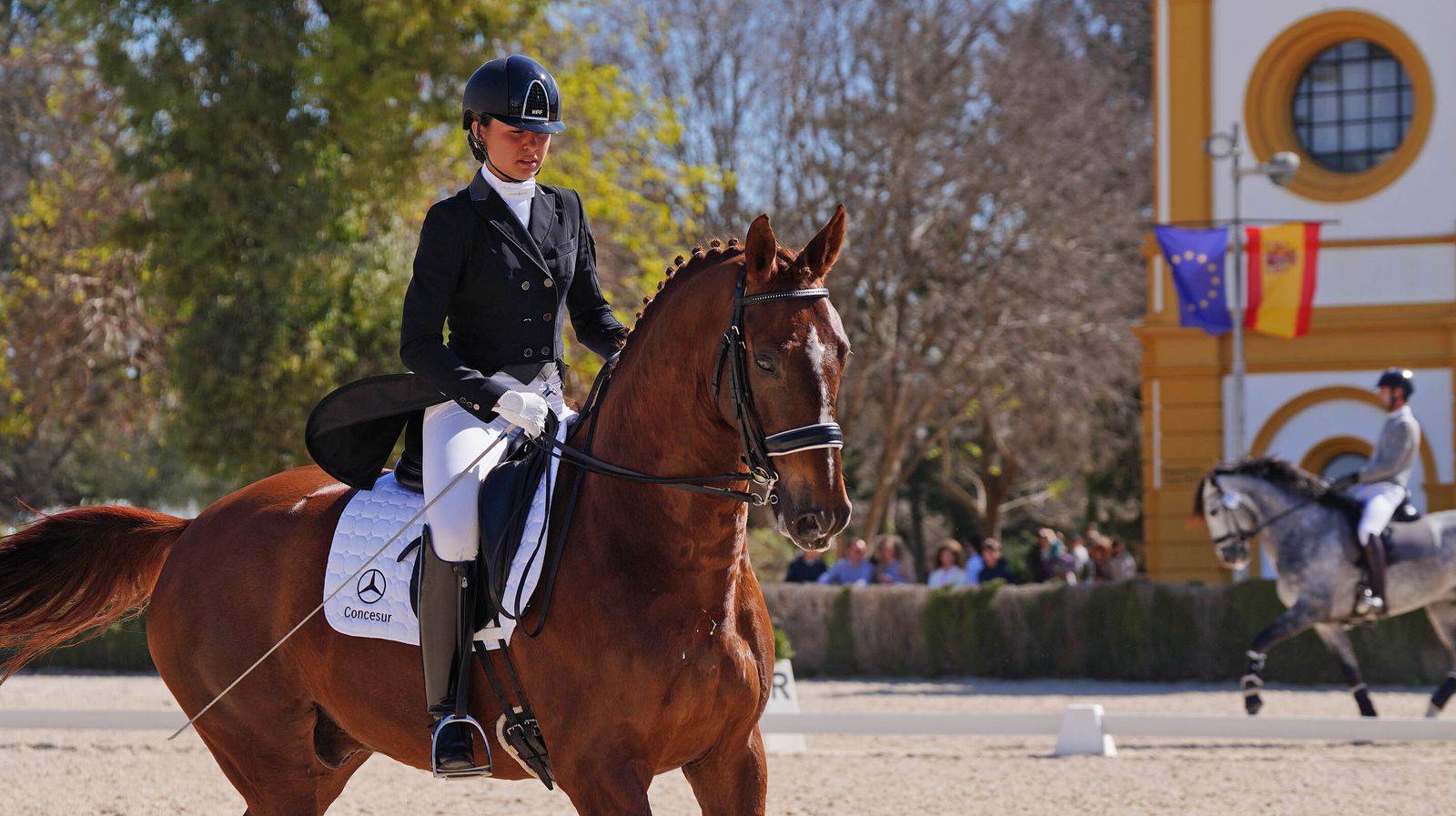Concurso de Doma Clásica internacional en la Real escuela de Jerez