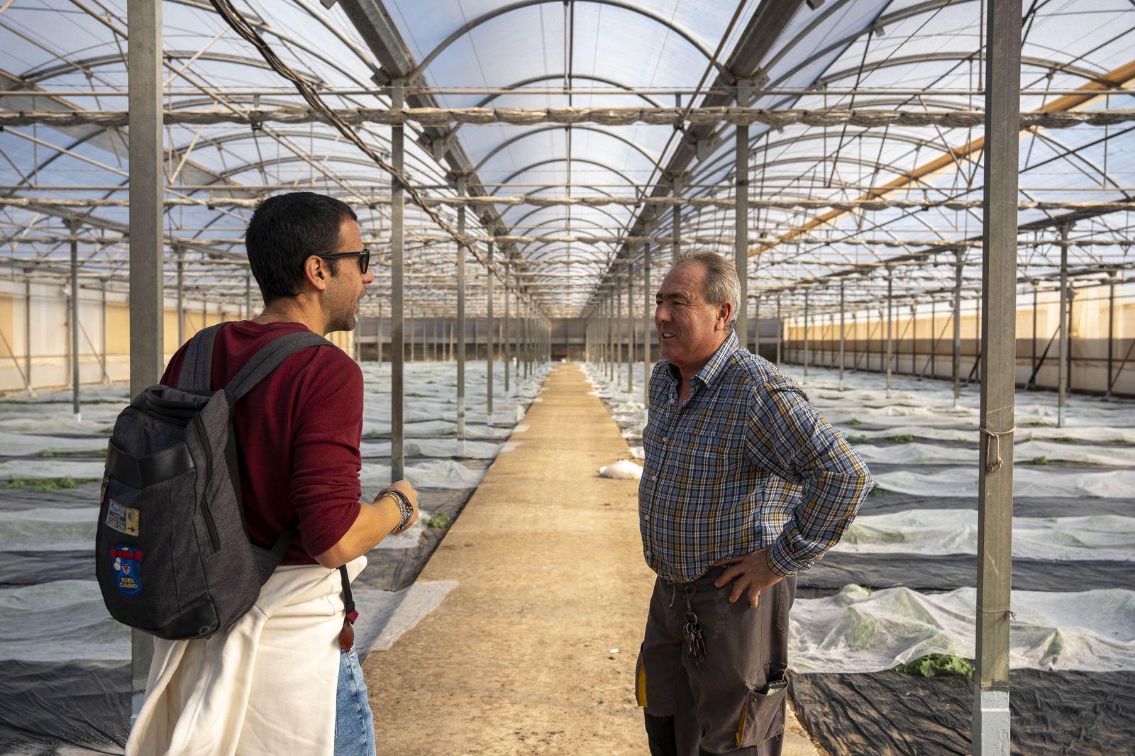 La primavera se planta en invierno entre sandías y tomates almerienses