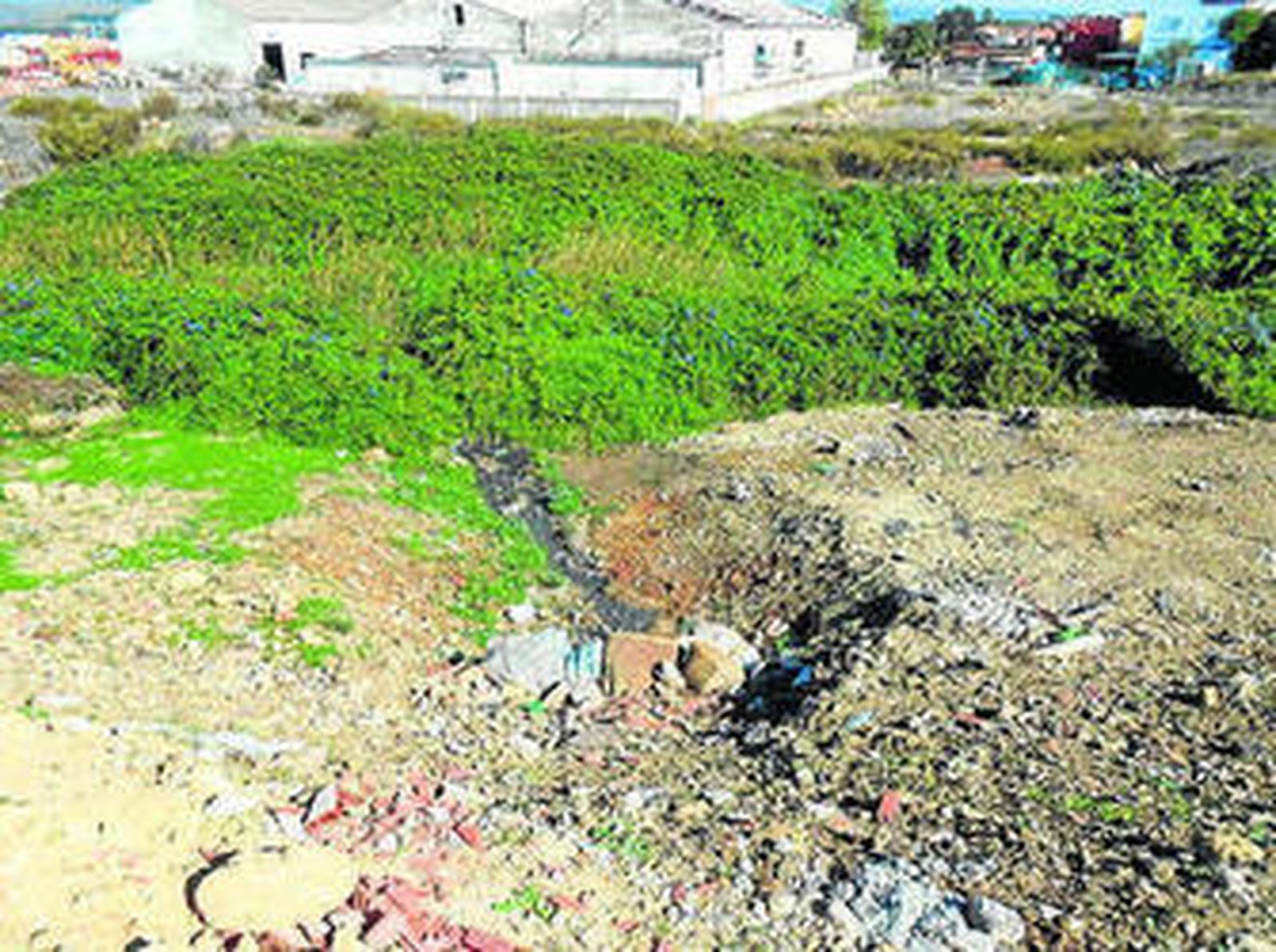 Imagen del vertido de la calle Colio.