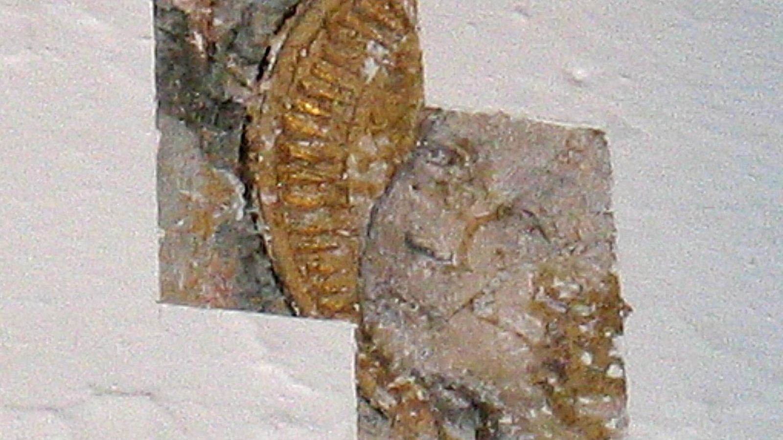 Catas realizadas hace 15 años cuando se rehabilitó la estancia.