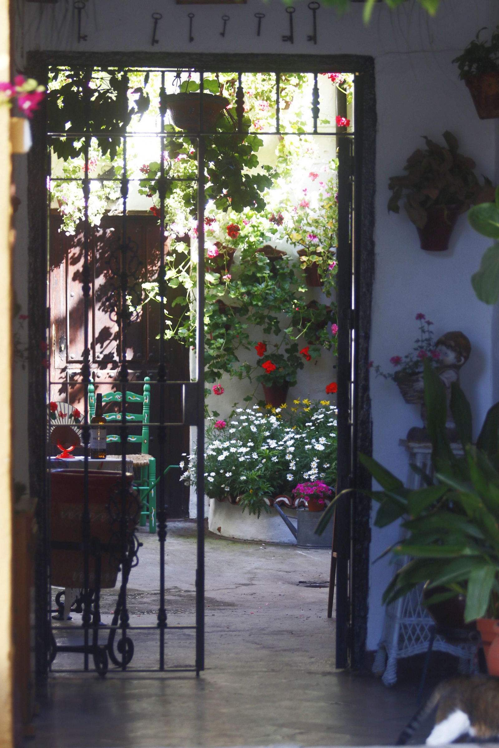 Las fotos de los Patios de Córdoba en este atípico mes de mayo