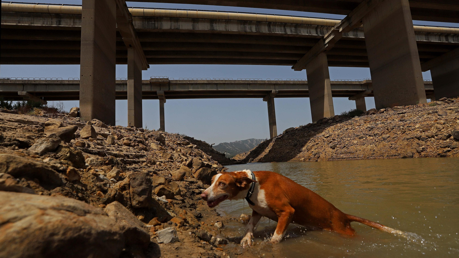 Fotos del embalse de Charco Redondo al 31 % de su capacidad Fotos del embalse de Charco Redondo al 31 % de su capacidad