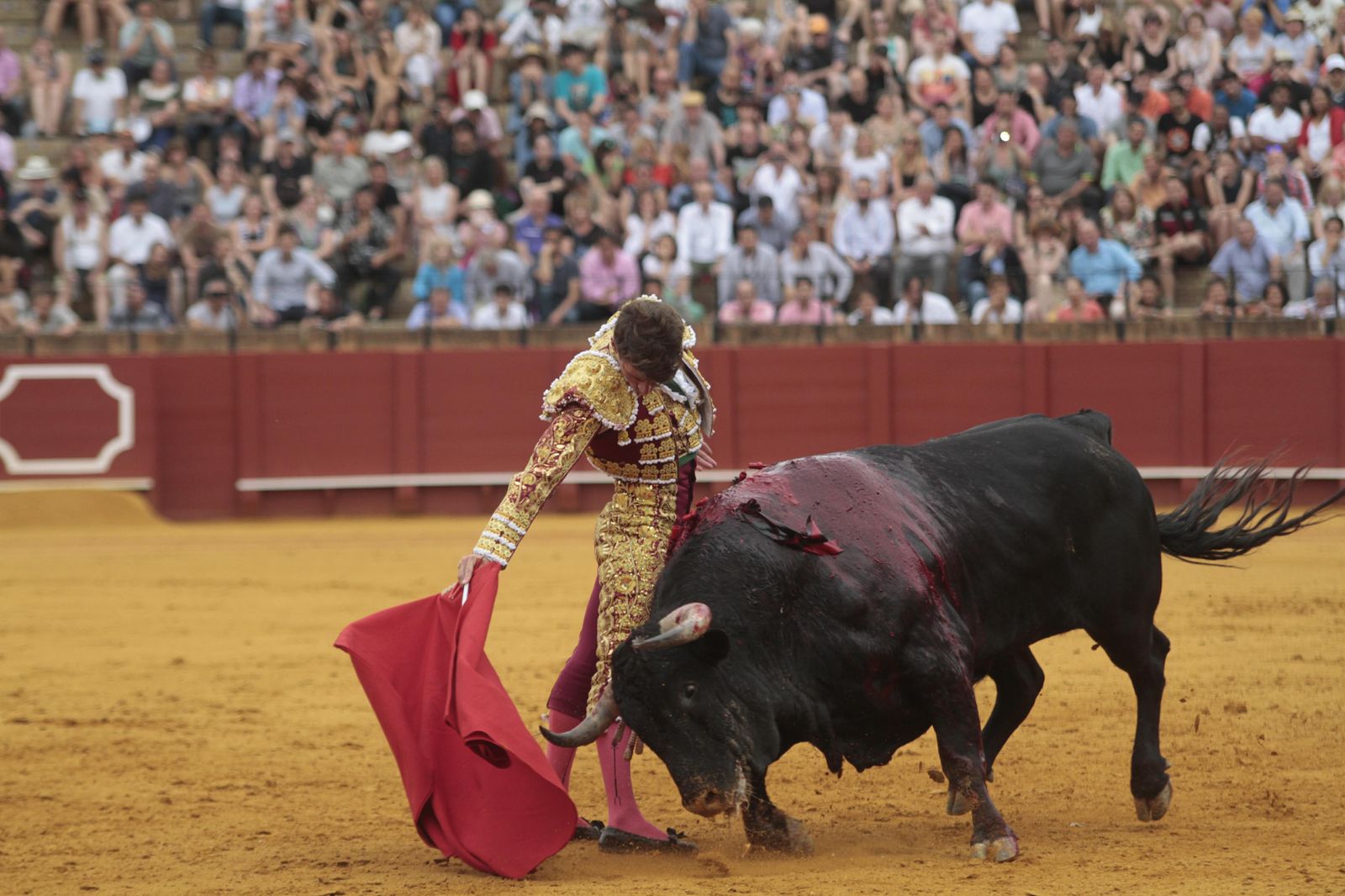 Las imágenes de la decimosexta de abono de La Maestranza