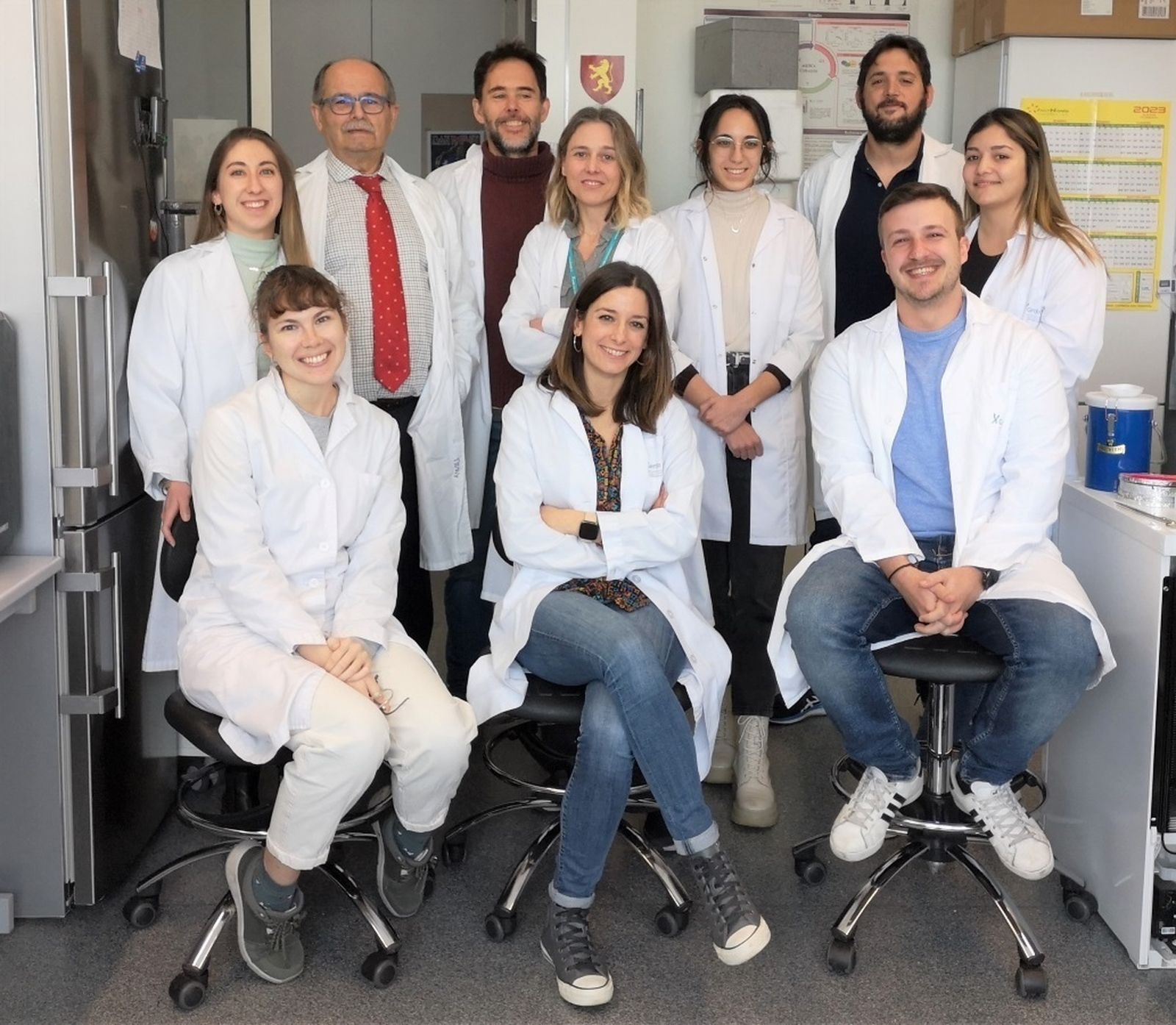 Equipo que ha hecho la investigación