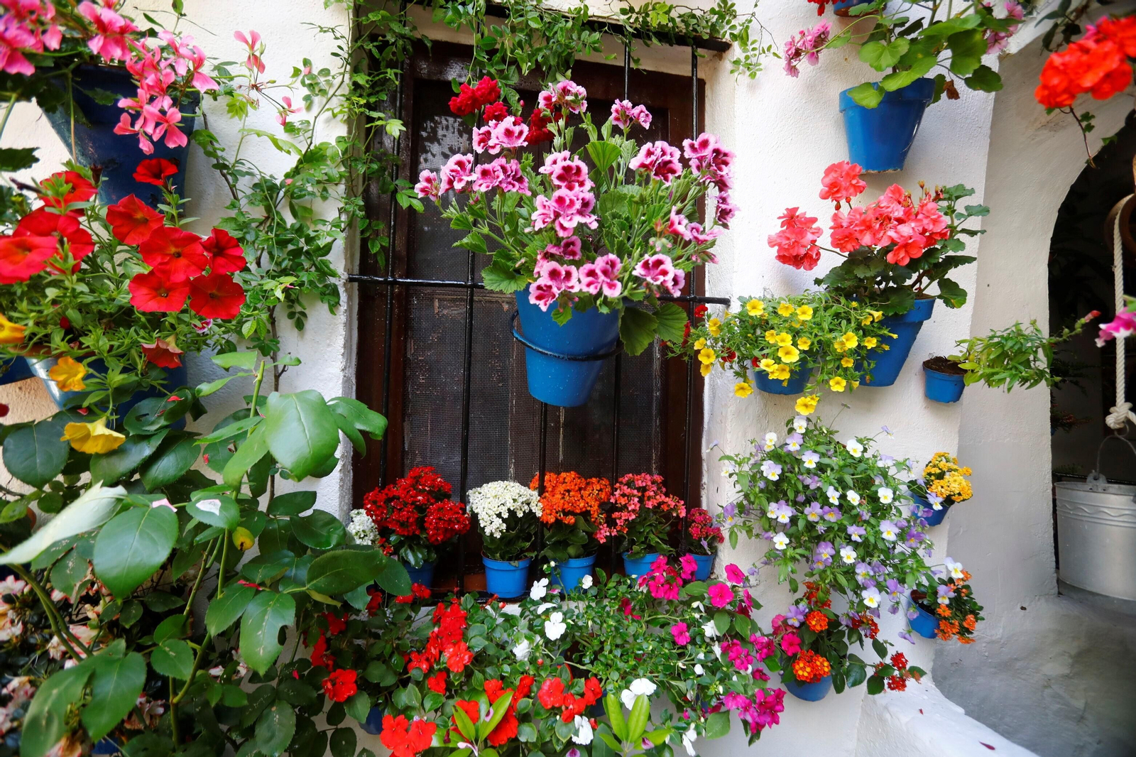 Los Patios de la Ruta de Santiago-San Pedro, en imágenes