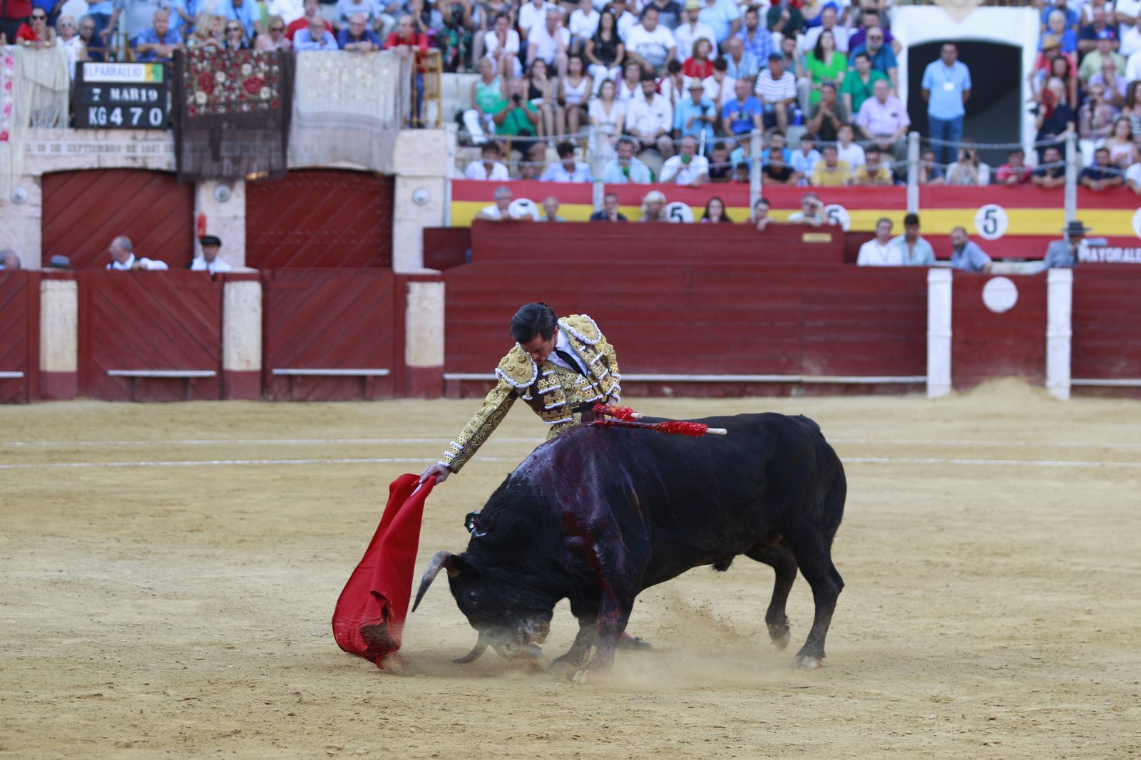 Imágenes del triunfo del torero almeriense Jorge Martínez el día de su alternativa