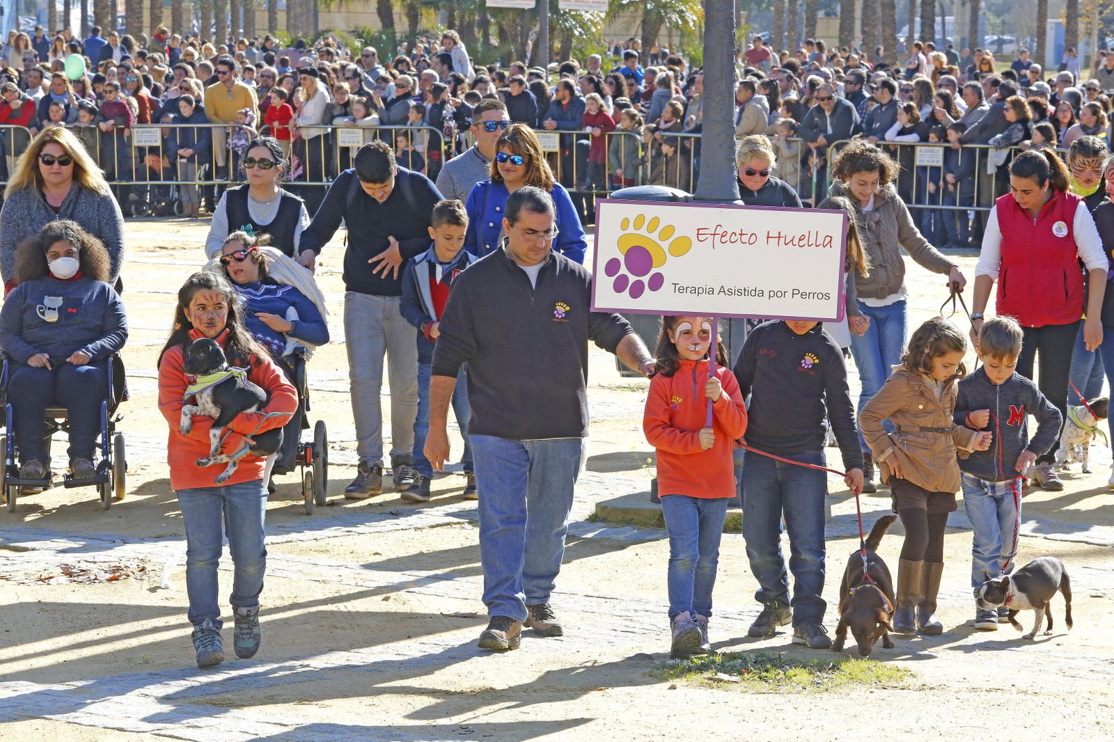 Las imágenes de la fiesta de San Antón