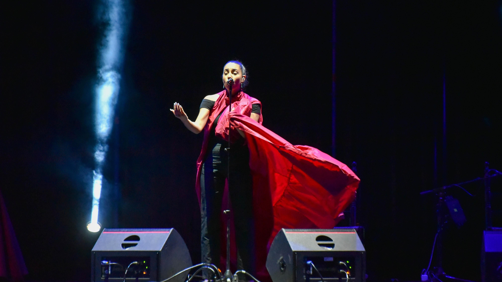 Las fotos del concierto de María José LLergo