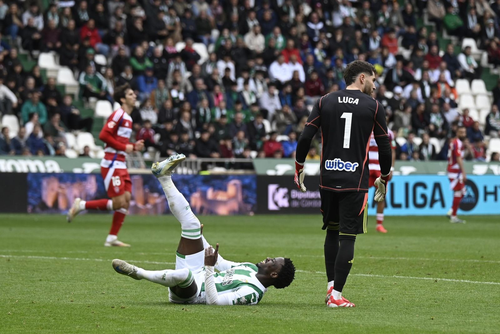 Las mejores imágenes del derbi Córdoba-Granada