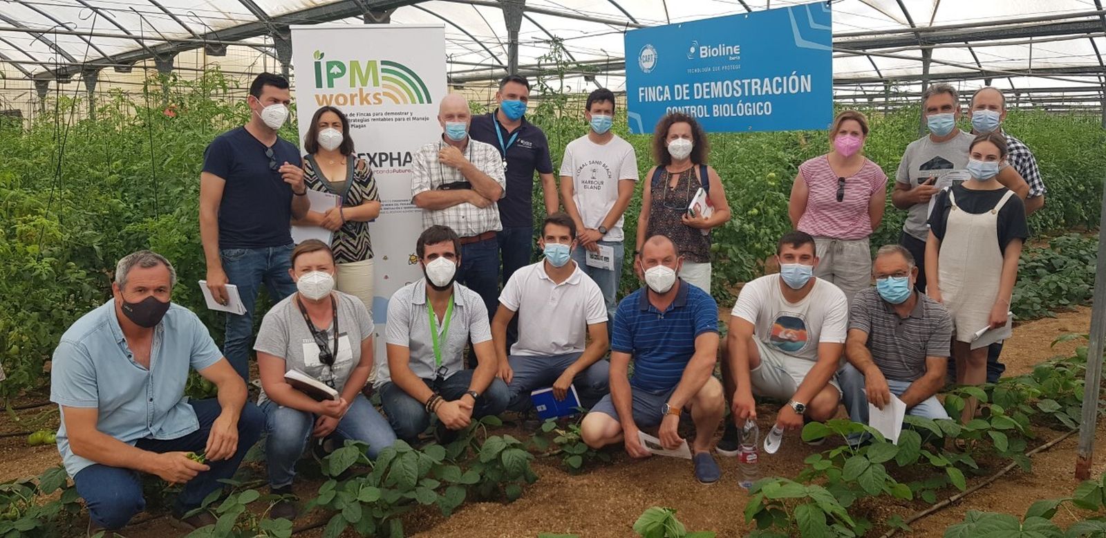 Uno de los grupos de Unica Group observan el control biológico en Tuta en tomate dentro del proyecto europeo H2020 IPMWorks