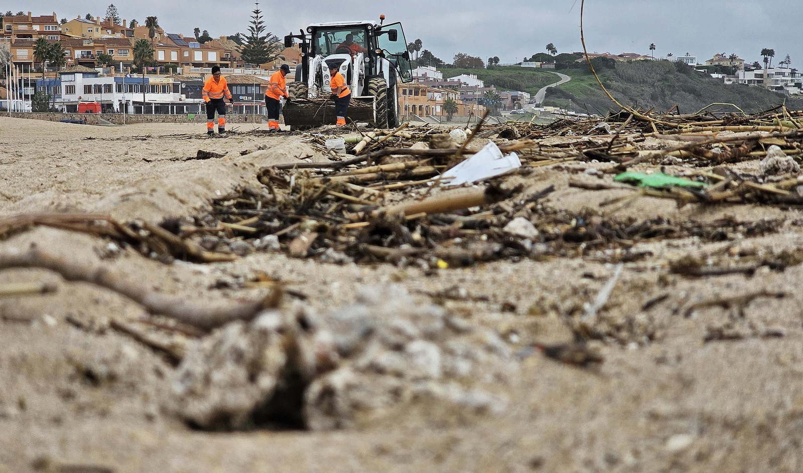 Fotos de la limpieza de las bolas blancas en la playa de Getares en Algeciras
