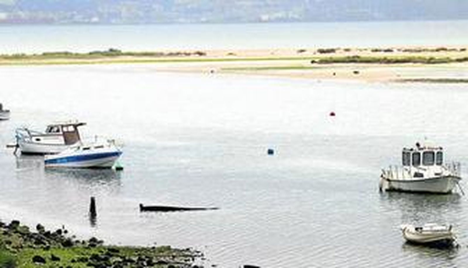 El río Palmones es el principal defensor del paraje protegido de las marismas.