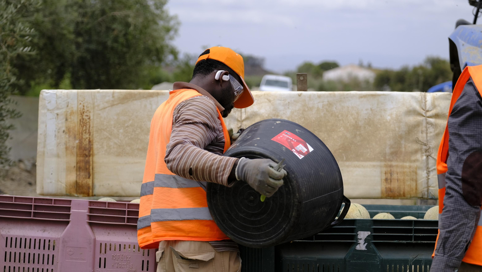 La sandía y el melón de Huércal Overa, manjares en imágenes