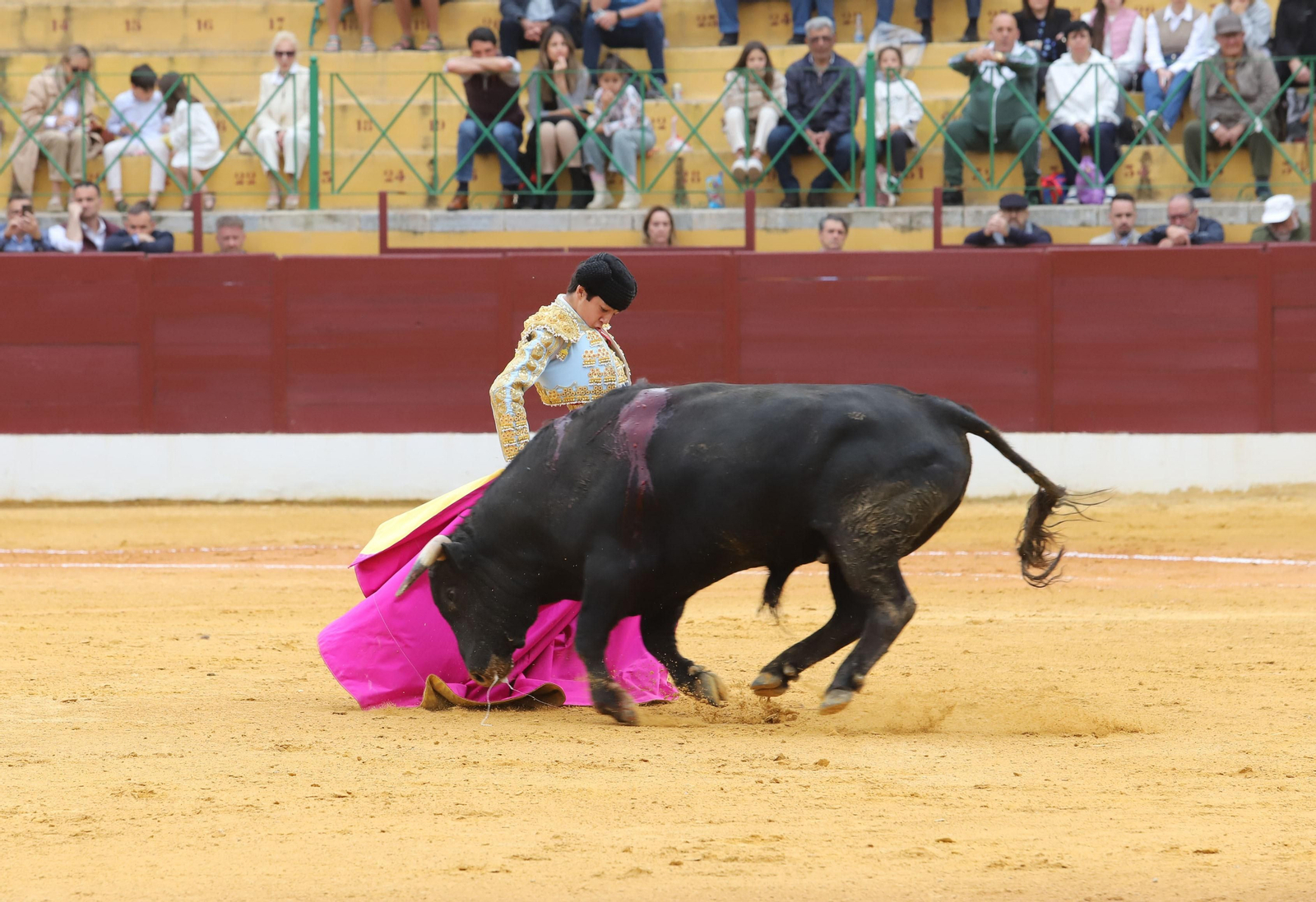 Imágenes de la novillada previa a la Semana Santa en la plaza de toros de La Línea