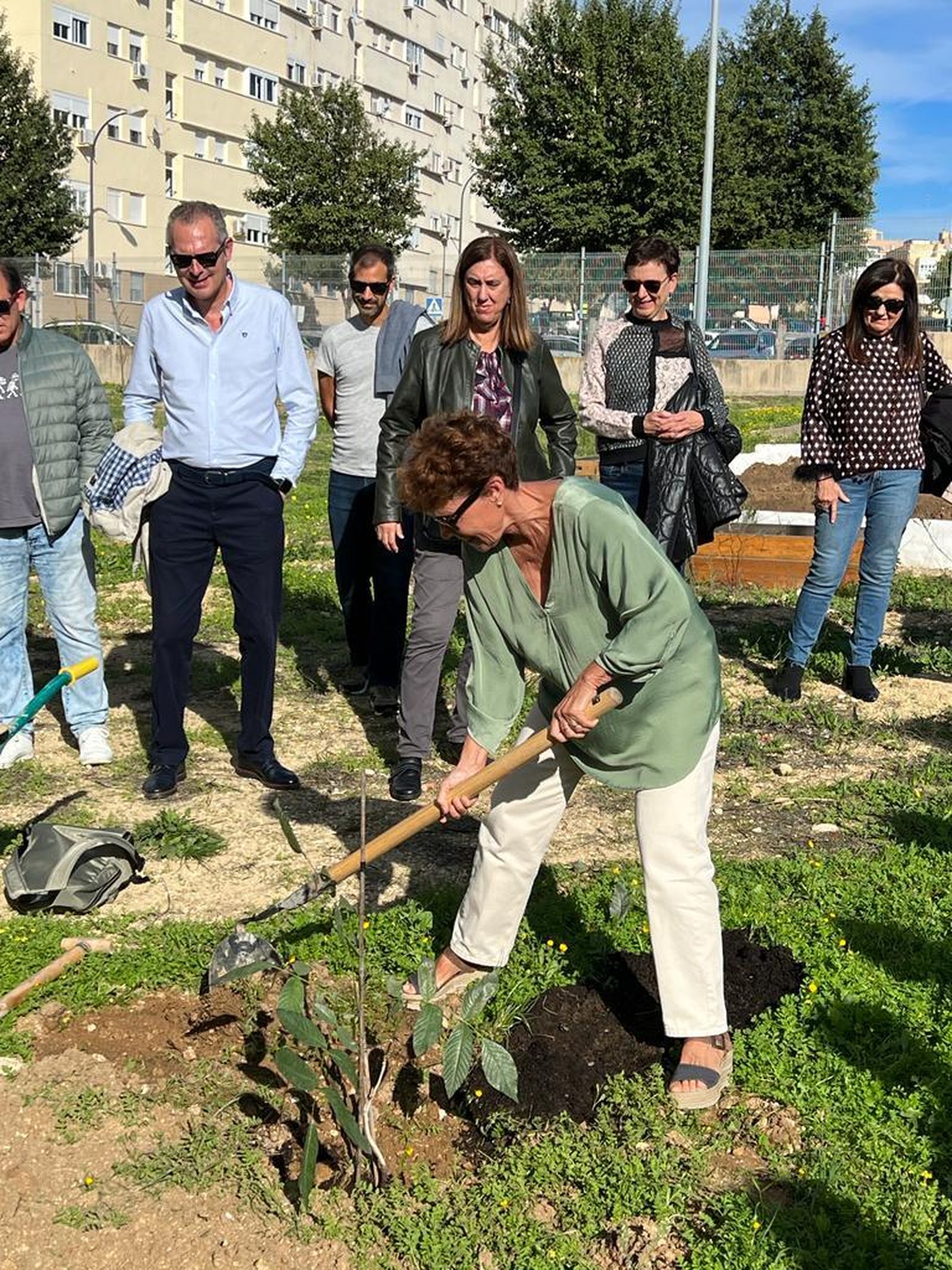 Plantación del Bosque de la Alegría por personal jubilado en el IES Jorge Juan.