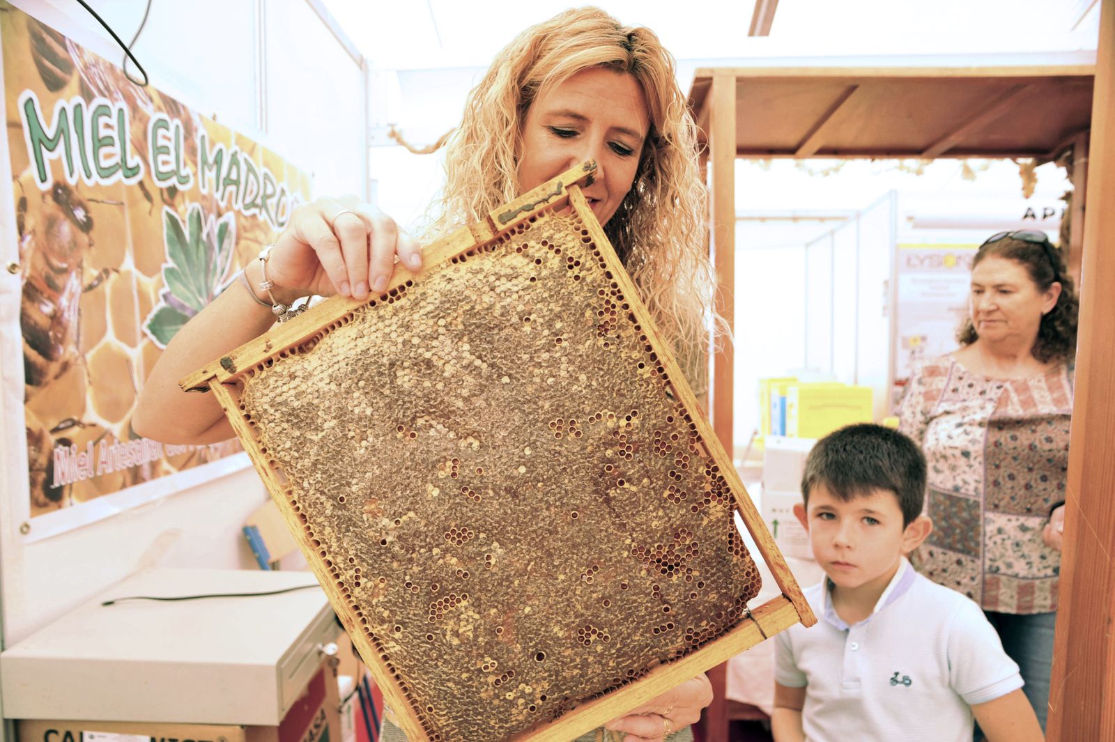 Una mujer comprobando la geografía que dibuja un panal de abejas.