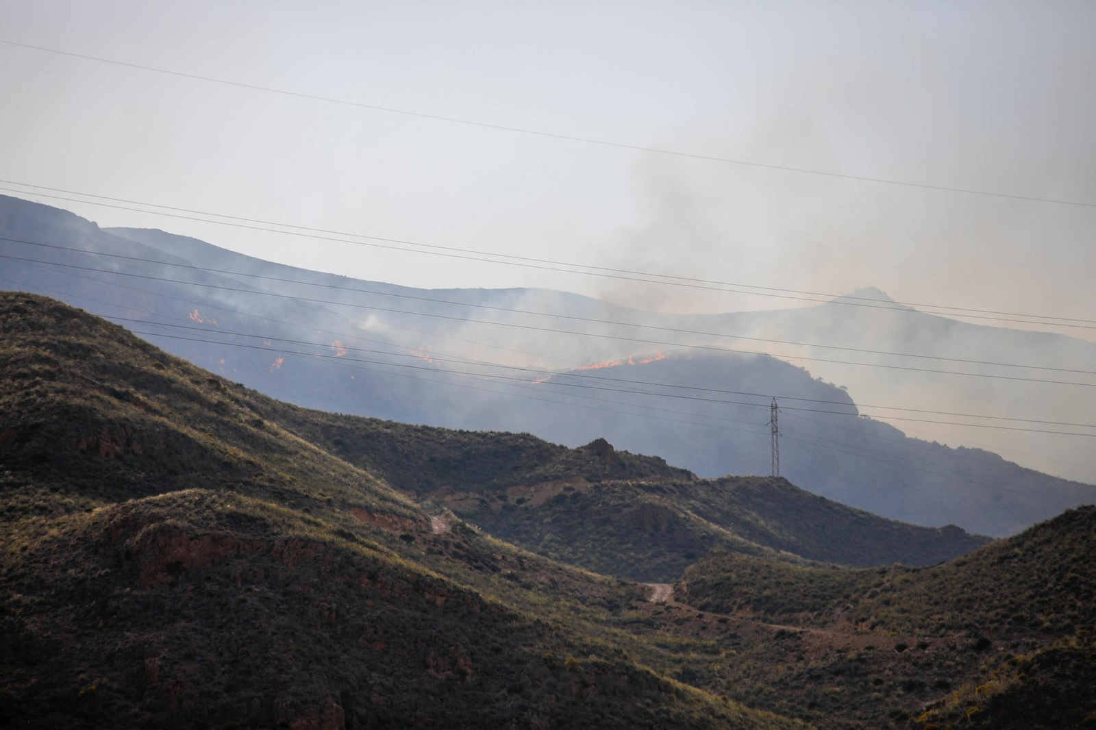Las imágenes del incendio forestal que avanza en la sierra de Huércal