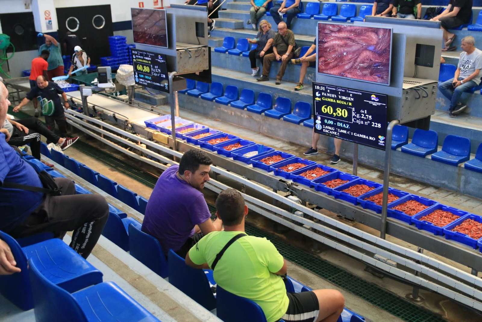 Vea cómo se descargan y se venden en la lonja la Gamba Roja de Almería