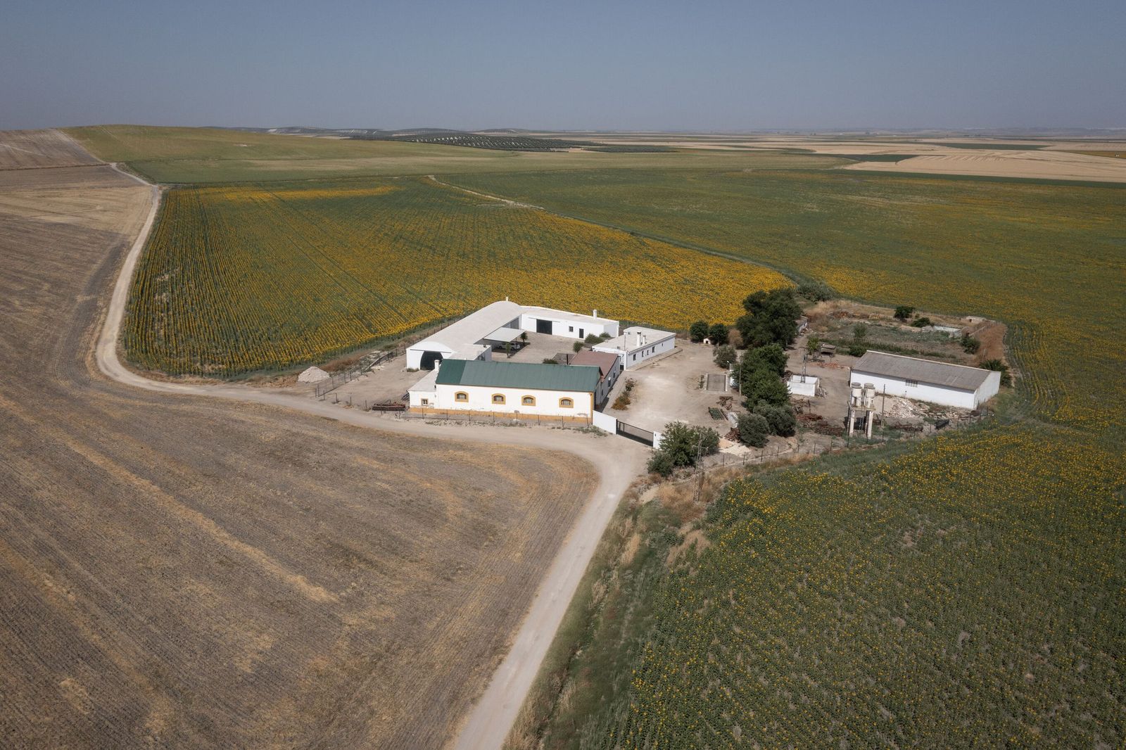 pic-20250620T122704S0003C1