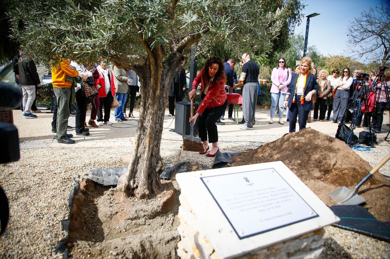Las imágenes de la plantación de un olivo y el entierro de una cápsula del tiempo